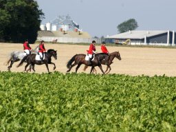 539470_10151090366083585_1066268922_n